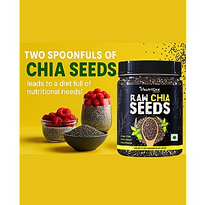 Raw Chia Seeds for Weight Loss with Omega 3 ,Zinc and Fiber,Calcium Rich/Protein Chia Seeds (3 x 200 g)
