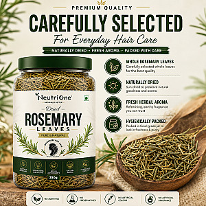  Rosemary Leaves Dried 250g,for Hair Growth + Hair Mist Spray,Hair Oil Applicator (250 g)