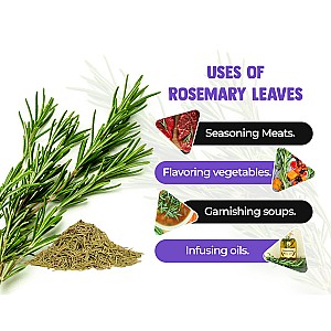 Rosemary Leaves Dried for Hair Growth|Skin Glow| With 100ml Spray Bottle (100 g)